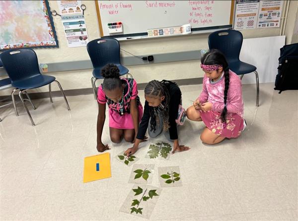 Fueling Success Through Science Discoveries